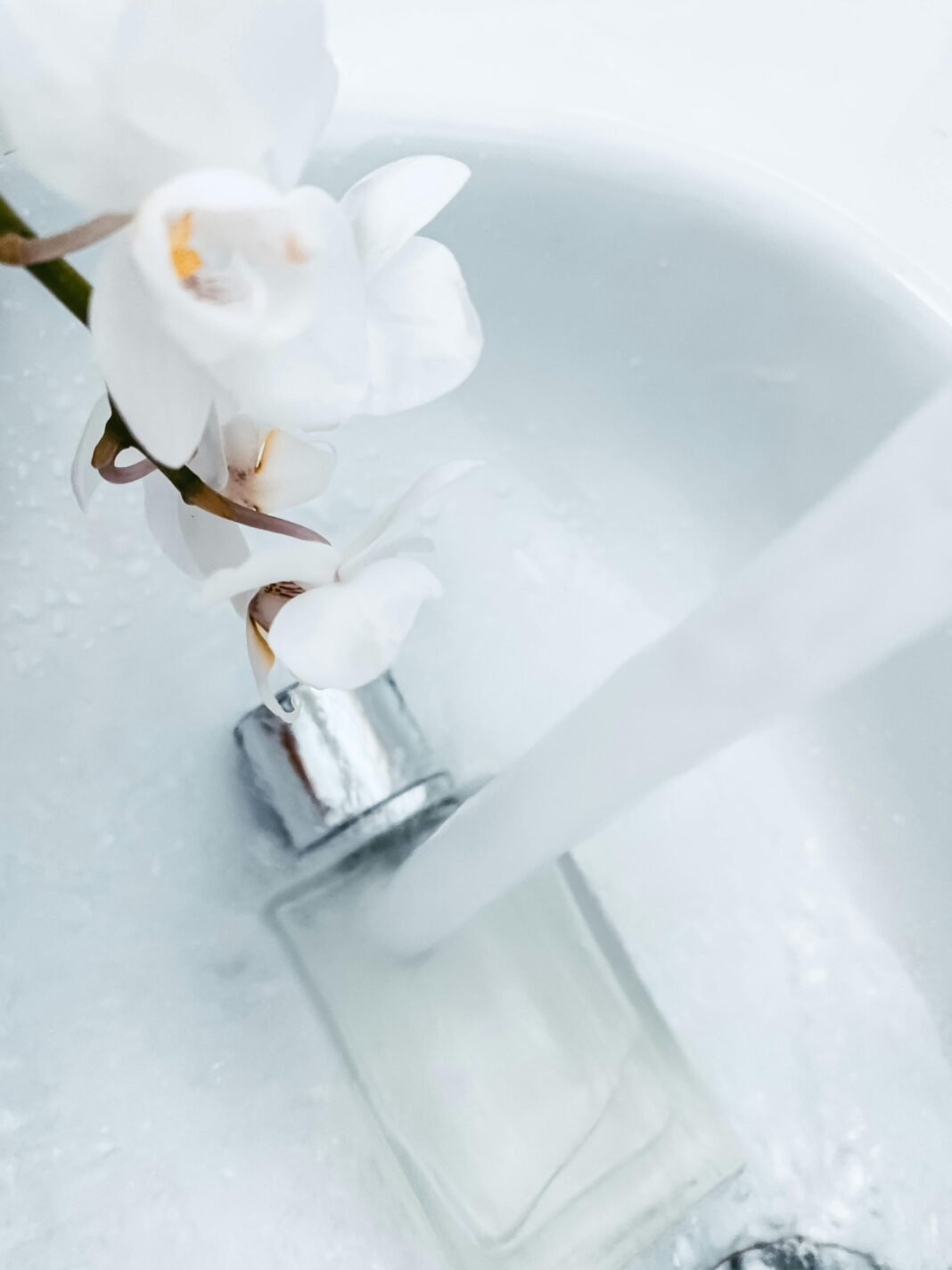 Dark Fruits Are the Fragrance Obsession — Here’s Why Dark Fruits Are the Fragrance Obsession — Here’s Why